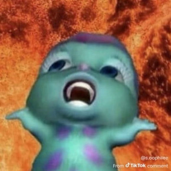 corallinereef